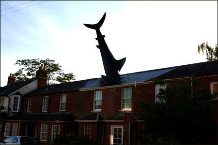 Headington Shark, Oxford